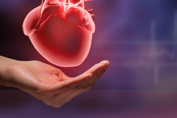 Serce na dłoni – konferencja Kliniki Kardiologii i Wad Wrodzonych Dorosłych